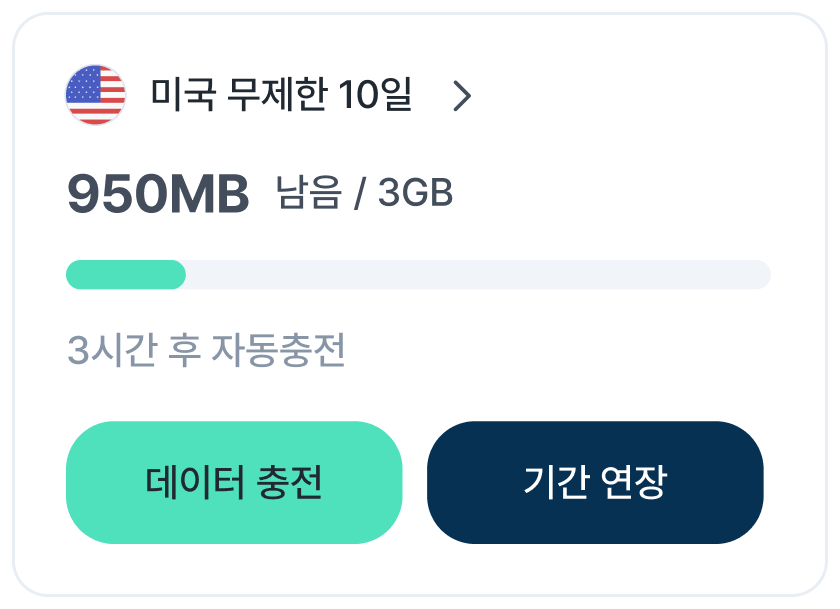 미국 무제한 10일 카드